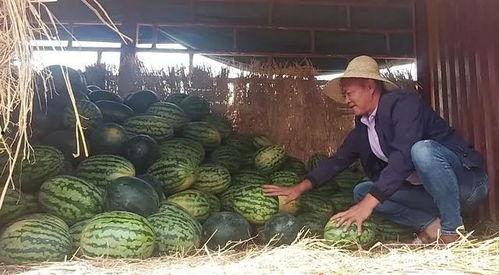 五一吃瓜群众网入口,揭秘热门话题背后的真相与笑料