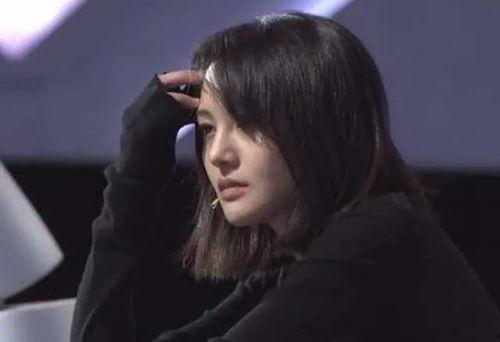 娱乐圈吃瓜楼4,揭秘明星幕后故事，带你走进娱乐圈的真相世界